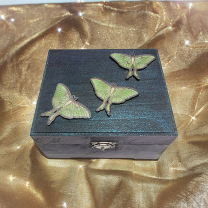 Luna Moth box